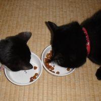 asamisaaaan 会員画像