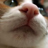 ゆにハハ 会員画像