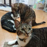 会員画像
