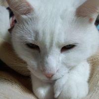 ぽてまろ 会員画像
