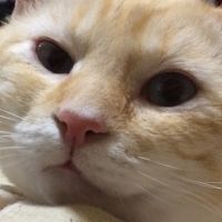 会員画像