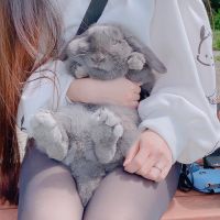 えんじゅちゃま 会員画像