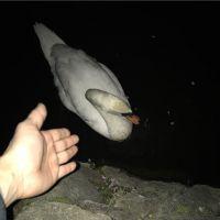 ノムっち 会員画像