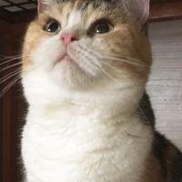 会員画像