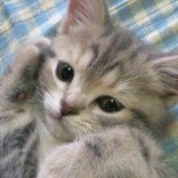 会員画像