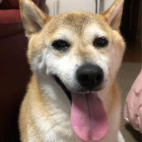 会員画像