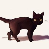 adamthecatさん