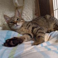 さくら418 会員画像