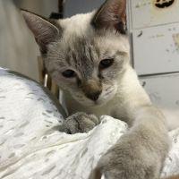 会員画像