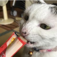 会員画像