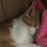 会員画像