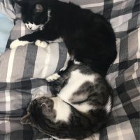 るいまり 会員画像
