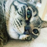ジョンいちろう 会員画像