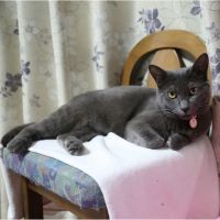 琵琶湖CAT 会員画像