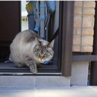 カフェモカちゃん 会員画像