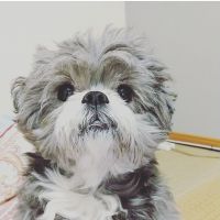 マルタクロ 会員画像