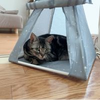 ゆず太郎0909 会員画像