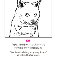きもちこさん