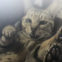 会員画像