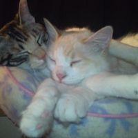 みっきぃ。 会員画像