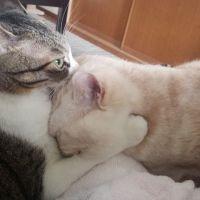 会員画像