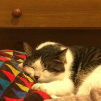 ルルル 会員画像