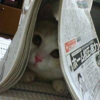 会員画像