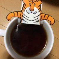 jellyミィ 会員画像