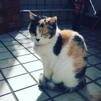 ランデン 会員画像