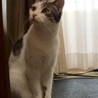 リボンリボン 会員画像
