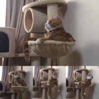 さかなお 会員画像