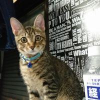 会員画像
