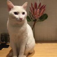 mina622 会員画像