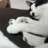 会員画像