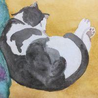 さえさる 会員画像