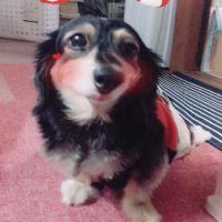馨 会員画像
