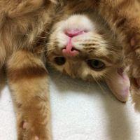 Kむら 会員画像