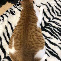 あいうえ 会員画像