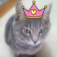 あんこぱん 会員画像