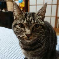 やんた 会員画像