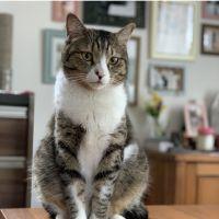 さっぱりさん 会員画像