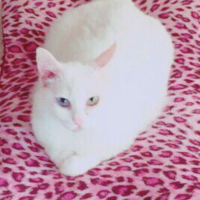 ユキタロウ 会員画像