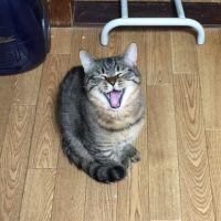 ポッセ 会員画像