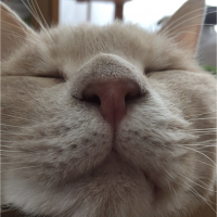会員画像