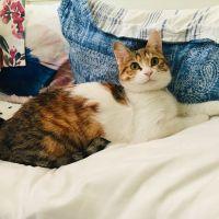 すうぃ 会員画像