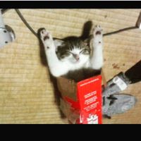 あらたま 会員画像