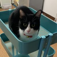 エアリアル 会員画像