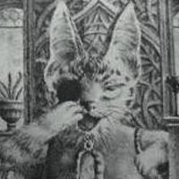 ニューロンさん