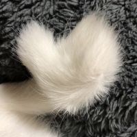 猫野タビスケさん