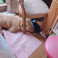 会員画像
